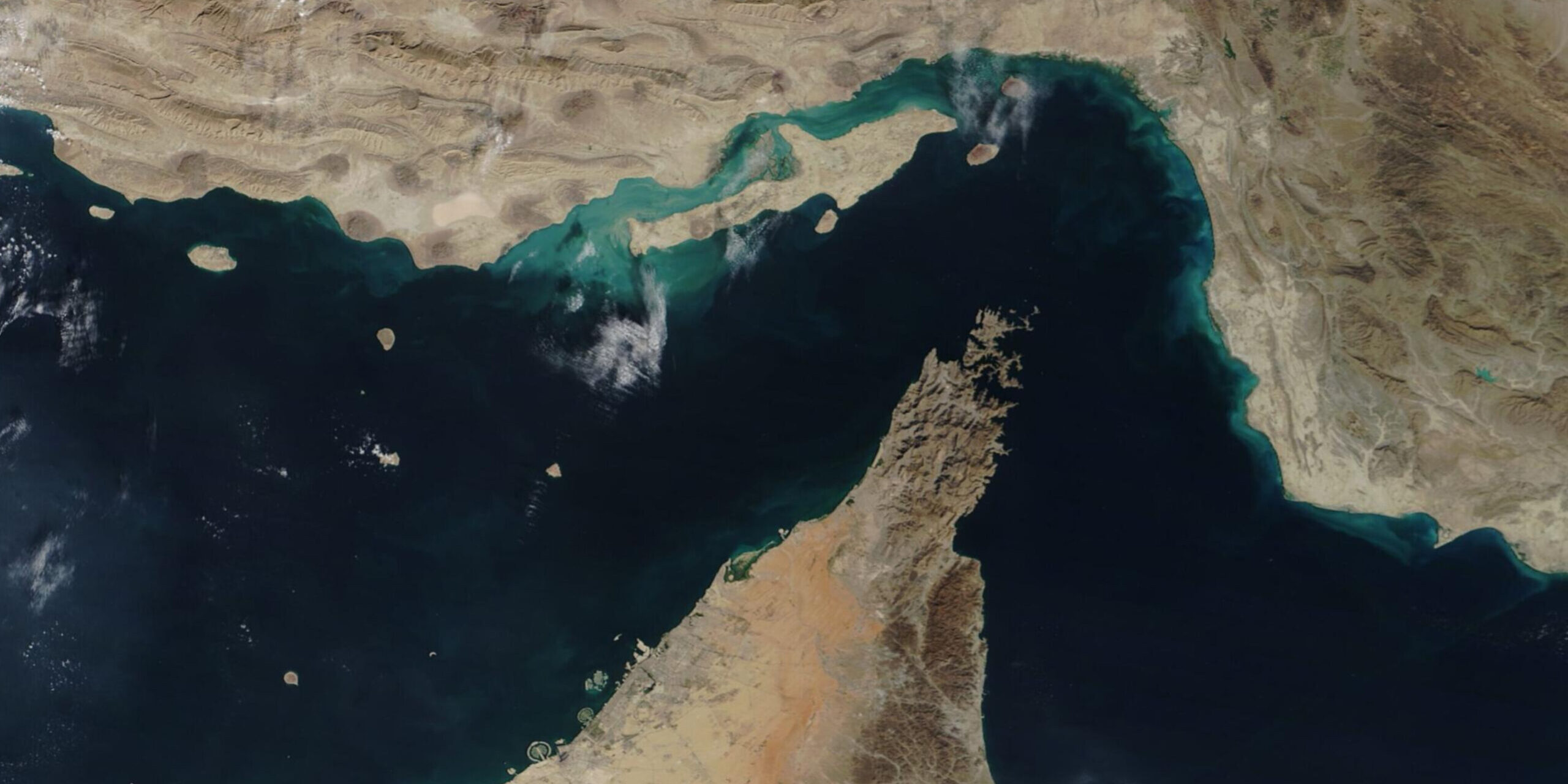 InShot_20260406_130253781